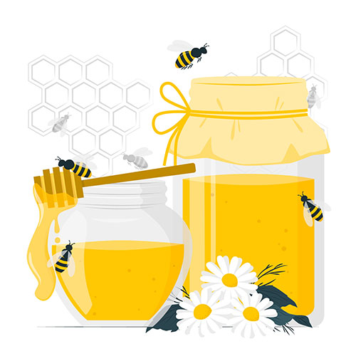 طرح توجیهی زنبورداری حرفه ای 300 کندو